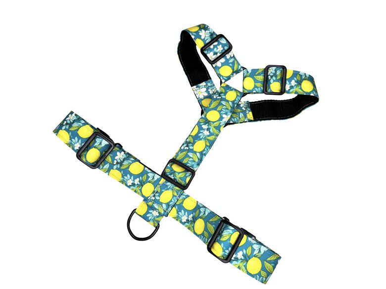 CITRONI UZ ZILA IEMAUKTI